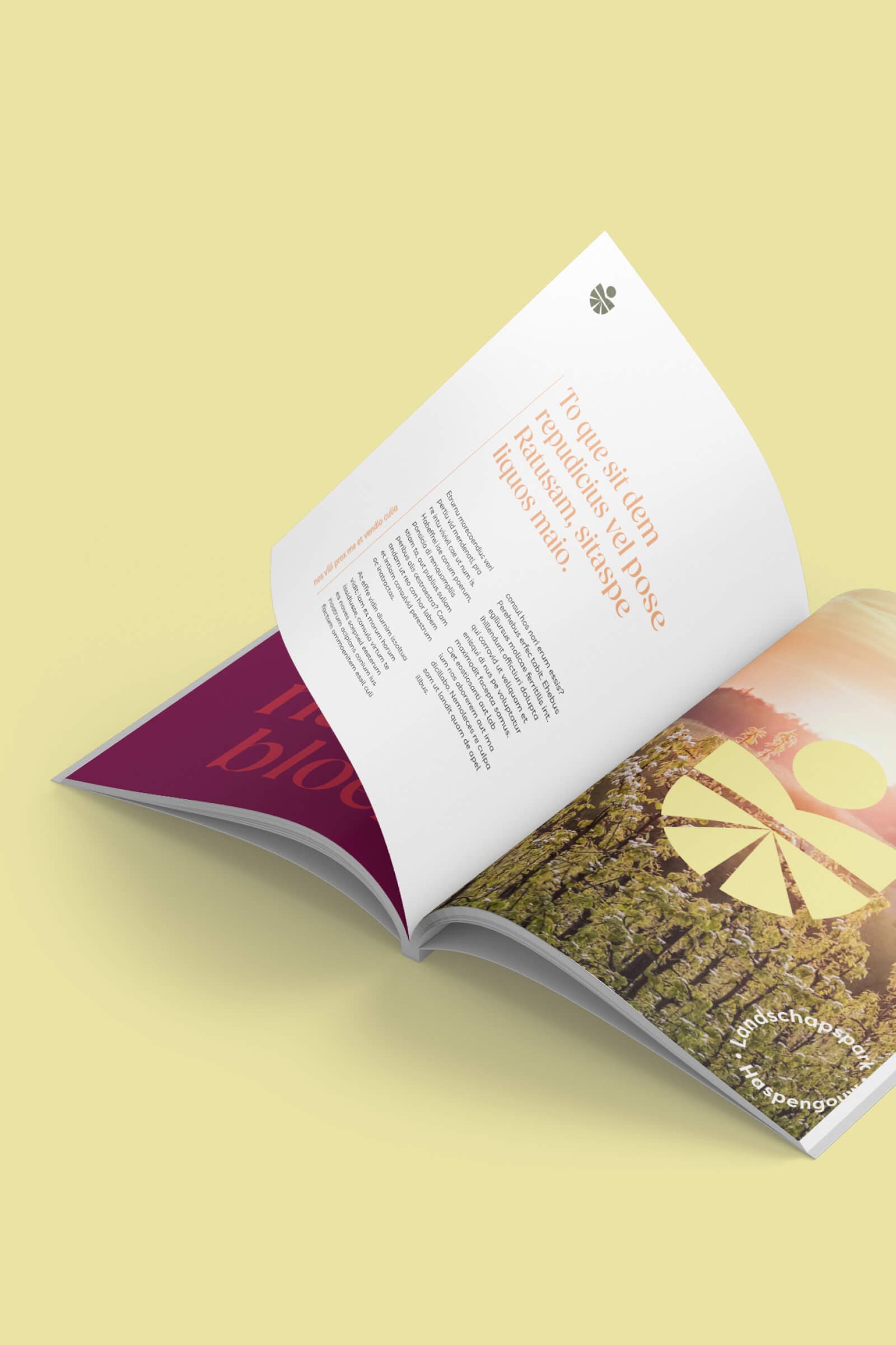 Template voor brochure van Landschapspark Haspengouw
